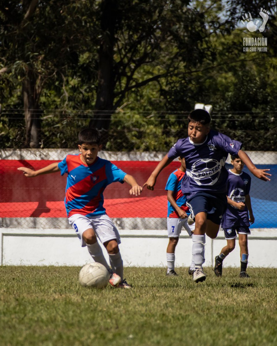 FCCPoficial's tweet photo. #TorneoCuidadMarDelPlata🏆🇦🇷 | Categoría 2012

📸 Postales del triunfo de Cerro Porteño 🆚️ El Potrero, partido correspondiente por el 3er. puesto del Torneo de Fútbol Infantil Ciudad Mar del Plata

#FundaciónCCP🔵🔴 https://t.co/qhkJsTTaTe