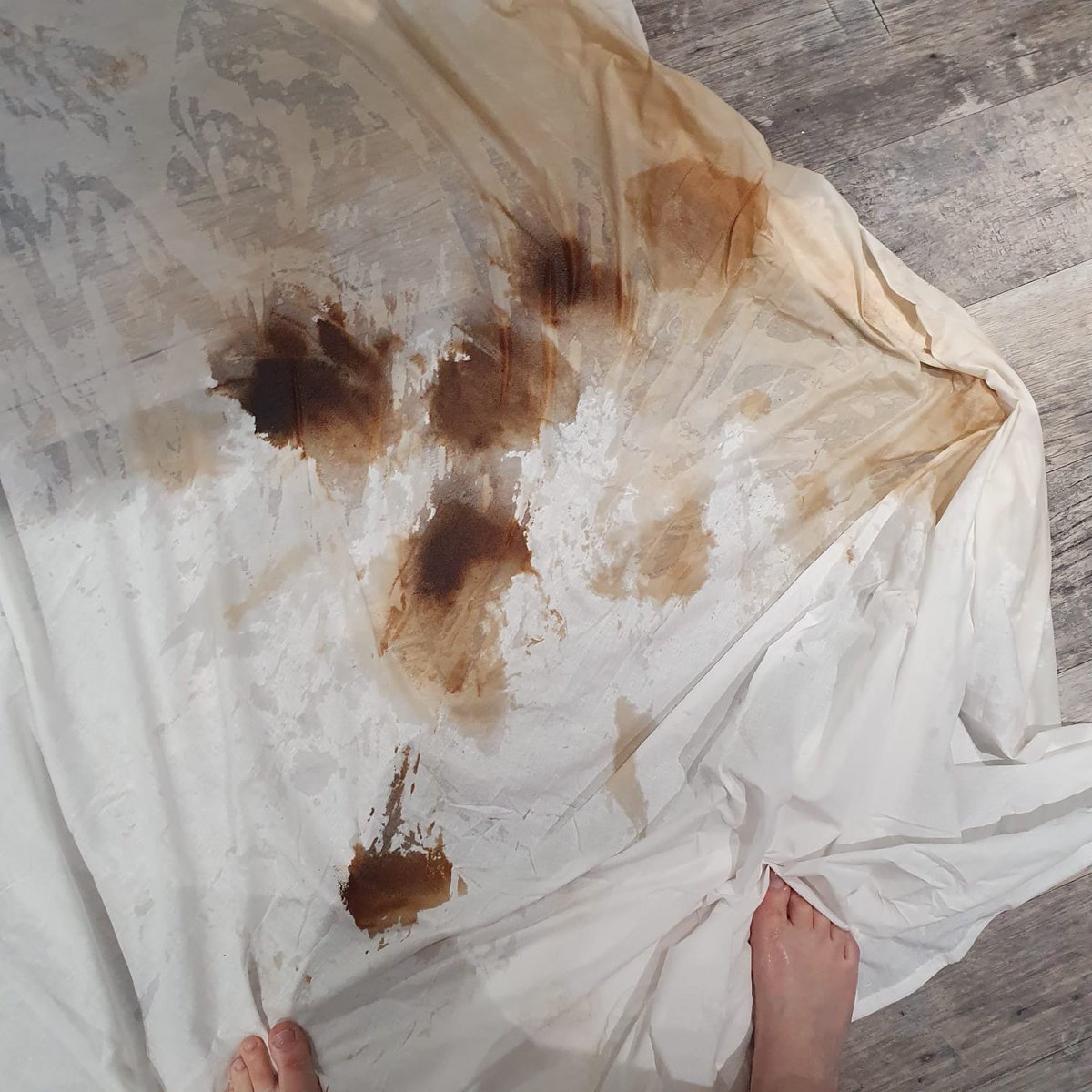 ProVomitTV's tweet photo. 🎬 "Pant's Labyrinth" is taking shape! Script? ✅ Giant 5XL underpants? ✅ SFX team on standby? ✅ Stay tuned as we turn pantasy into reality! 🩳✨ #PantsLabyrinth #BehindTheScenes #SpecialEffects #FilmmakingMagic #Underpants https://t.co/0Z7AngseXc