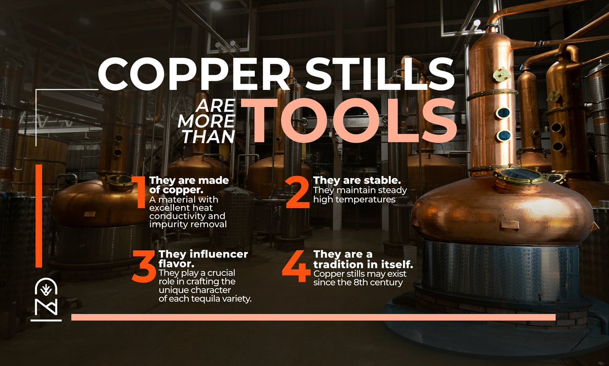 CasaNatima's tweet image. Unveil the art behind Tequila’s making process by learning about the copper still, a symbol of both tradition and innovation.

casanatima.com

#CasaNatima  #Tequila #CopperStills #TequilaDistillery #AuthenticTequila
