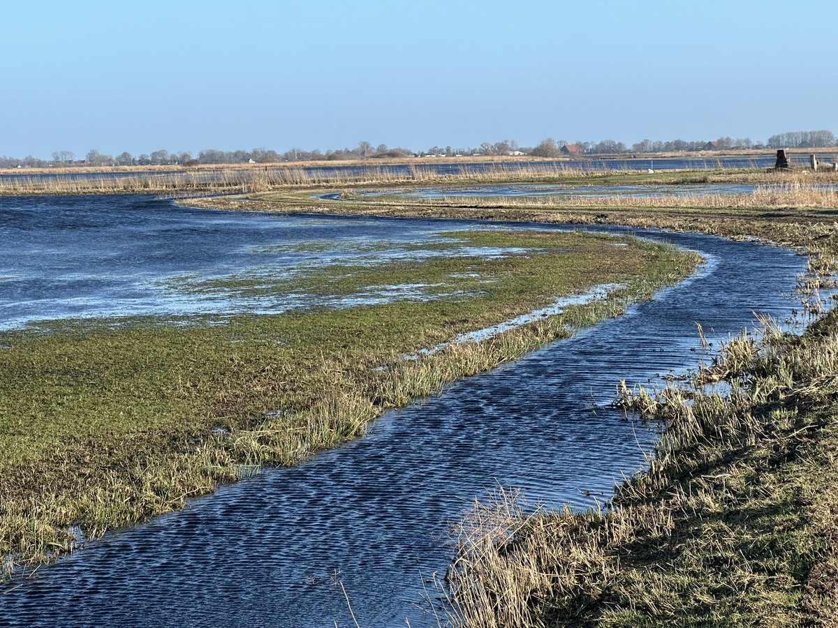 Vandaag al een ietsiepietsie #voorjaar gevoel