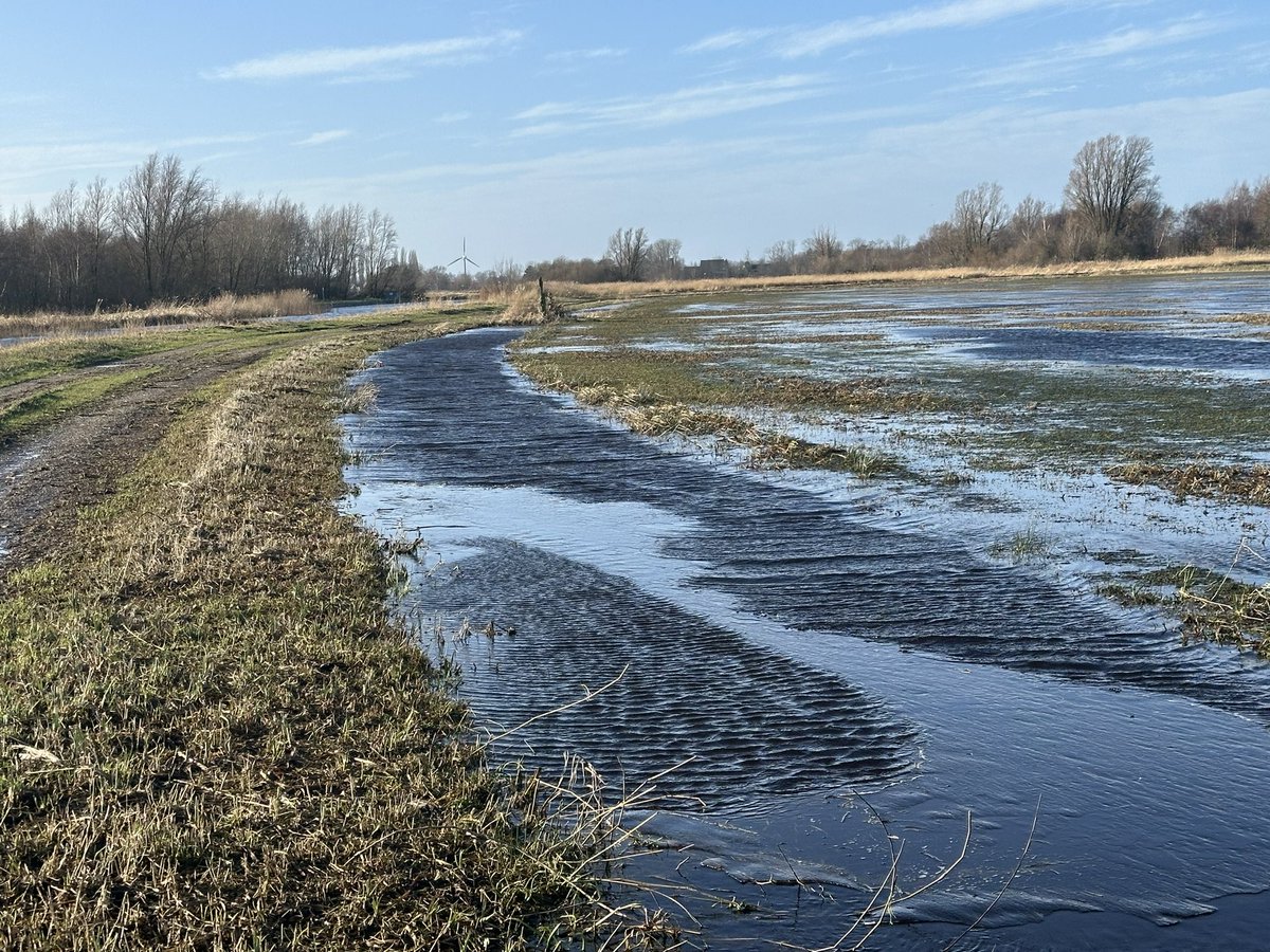 Laatste januari ijs in de sloot