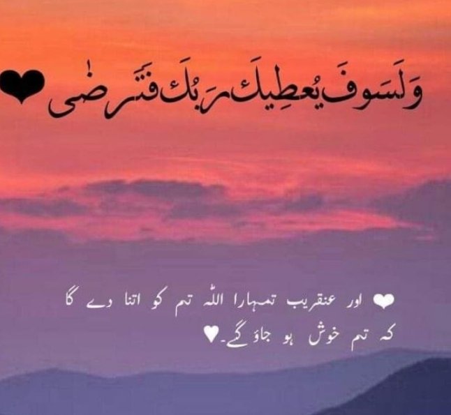 RIDA 🐣Hu Yar 🤷 tweet media