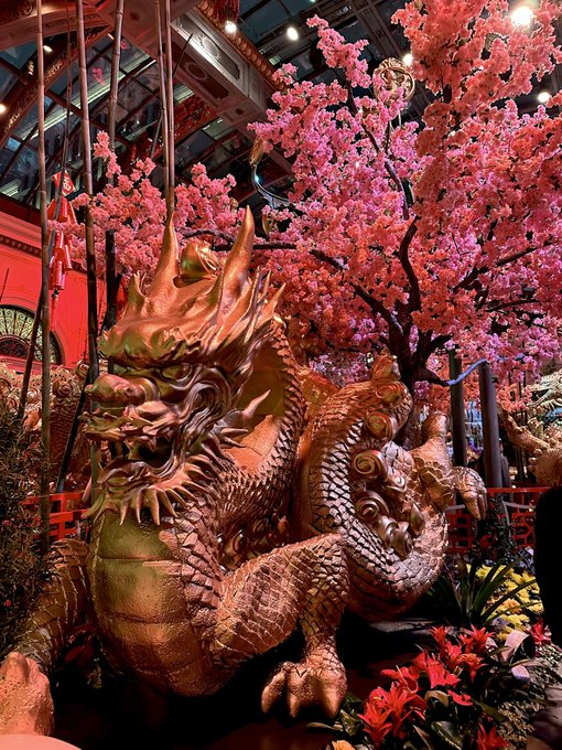 Well, hello there Las Vegas 🐉💜🎲 https://t.co/Me3Iymv3dt