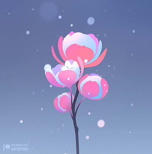 「Winter sakura kitten (=`ω'=) 」|apofissのイラスト