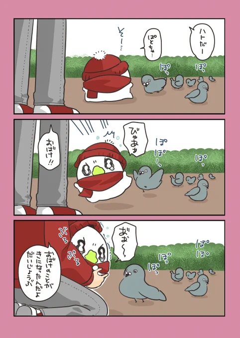 ハト #おばちぇ #漫画が読めるハッシュタグ 