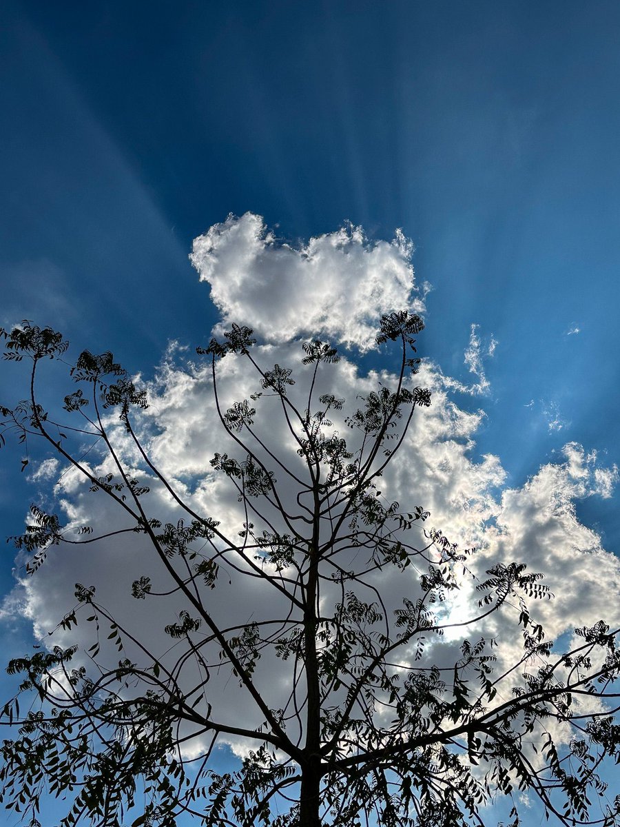 اذا تصويرك حلو للغيوم اثبت لنا بصورة :