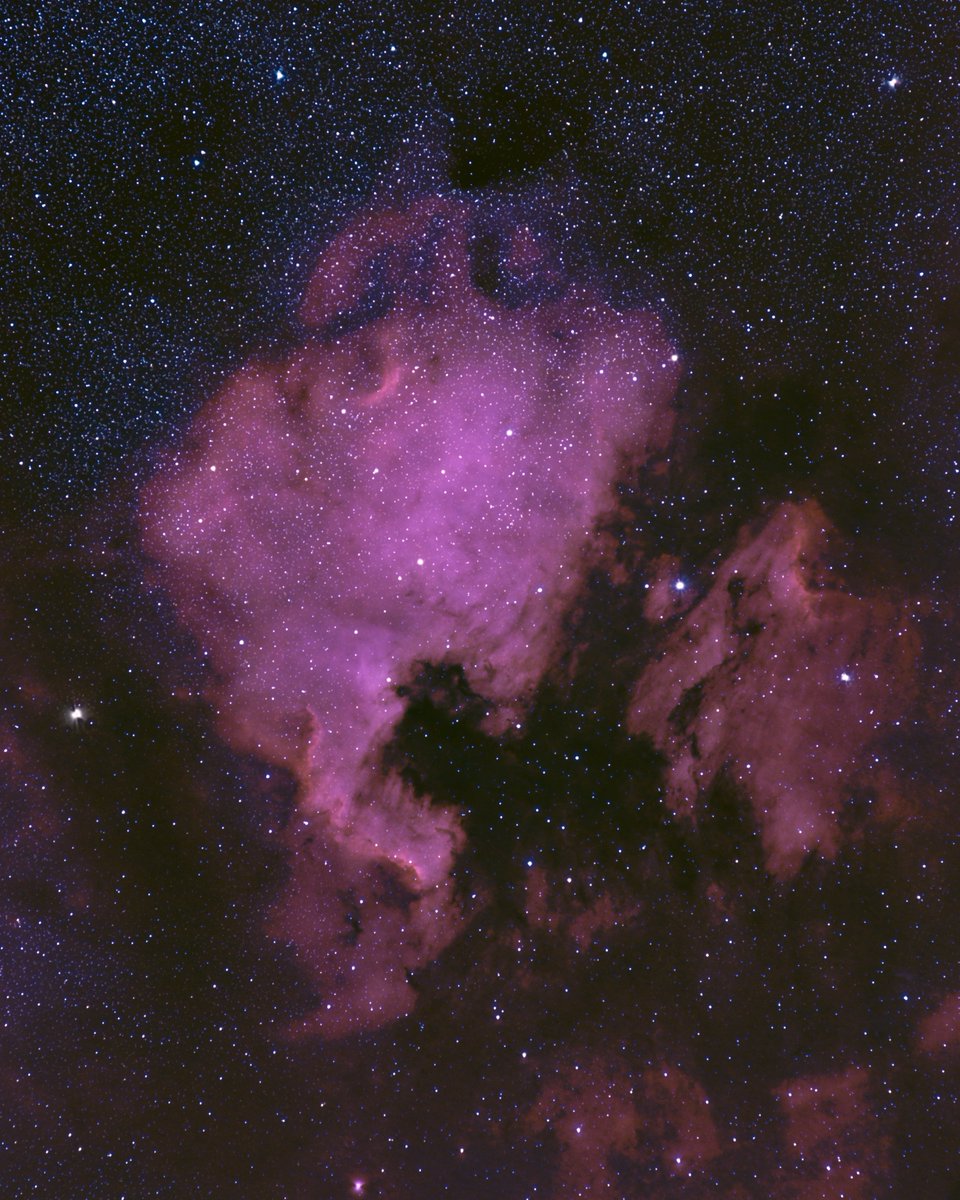 Kuzey Amerika Bulutsusu (NGC 7000) bir kıta kadar büyük görünüyor; ismini de tam olarak Kuzey Amerika kıtasına benzerliğinden alıyor. Hemen yanında Pelikan Bulutsusu yer alıyor.  Kuzey Amerika Bulutsusu dolunay alanının 10 katı kadar gökyüzünde yer kaplamaktadır.