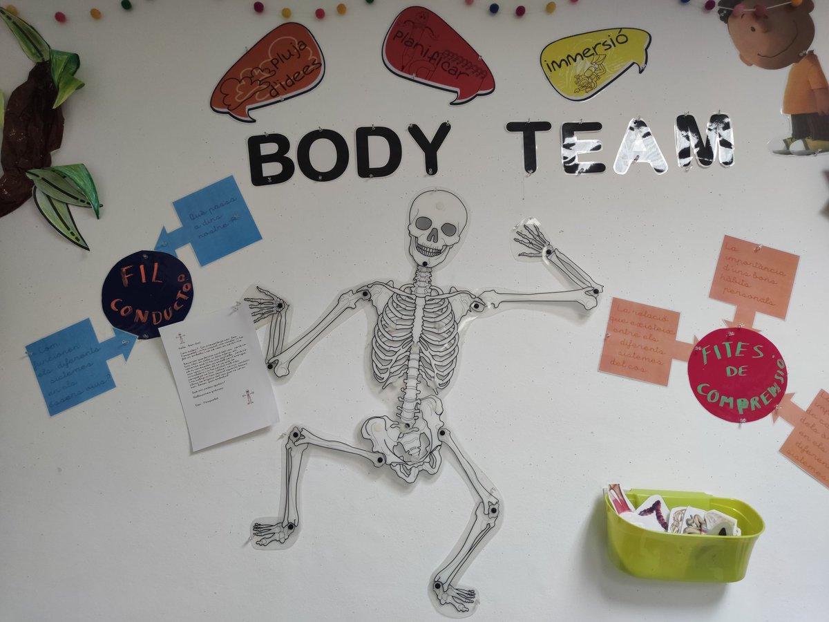 InfantNatzEsplu's tweet photo. Aquest matí ens hem trobat a Pep l'esquelet amb un mitssatge demanant ajuda  #bodyteam #aparellrespiratori https://t.co/LycfpQU6An