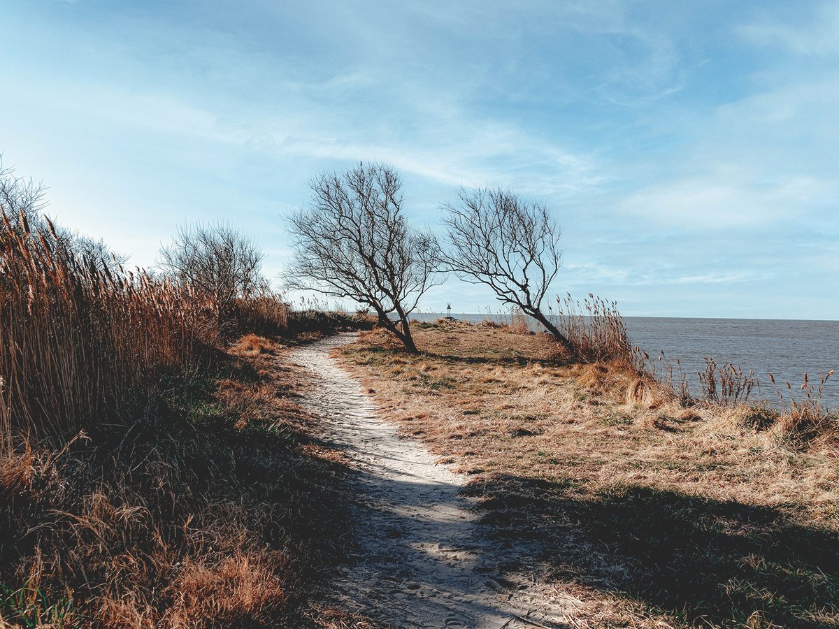 & it feels like the start of a movie I've seen before

#visualadventures #justgoshoot #lookslikefilm #createexplore #artofvisuals #njisntboring #shootermag #capemaynj #outdoorphotography #exploreoutdoors #nostalgic #capemay #scenicnj #localtourist #adventurephotography