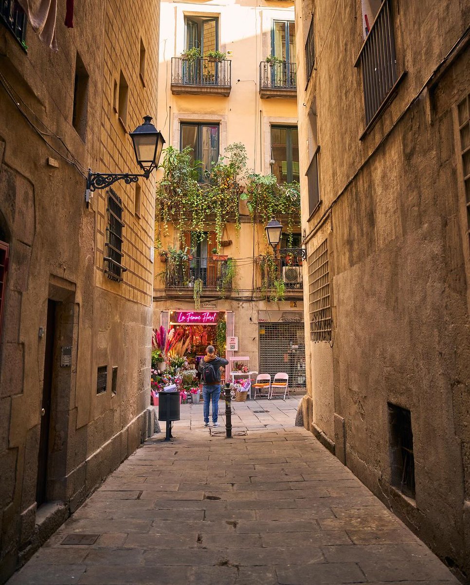 thisis_bcn_EN's tweet photo. Exploring the streets... Is there a better way to start the week? 👣
📸 bcnmagica (IG)
#visitbarcelona #streetsofbarcelona https://t.co/c3U6jb2XfA
