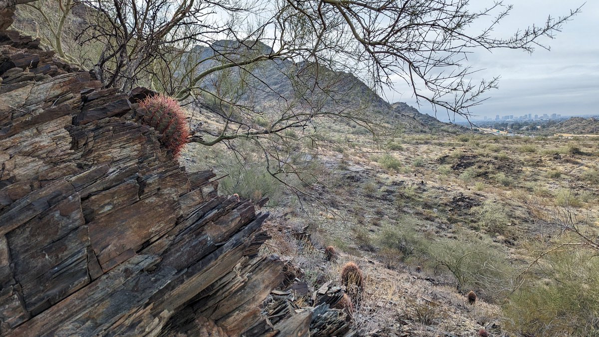 IllustratorJeff's tweet photo. Just heading back from Dreamy Draw Wilderness area. What a lovely spot to explore on a sunny morning. ,Thanks to everyone at #NorthValleyGames for bringing RK and I out for the weekend. I'll look forward to another visit one day soon. #mtg #mtgArizona #DreamyDraw https://t.co/xFKSgPCHMl