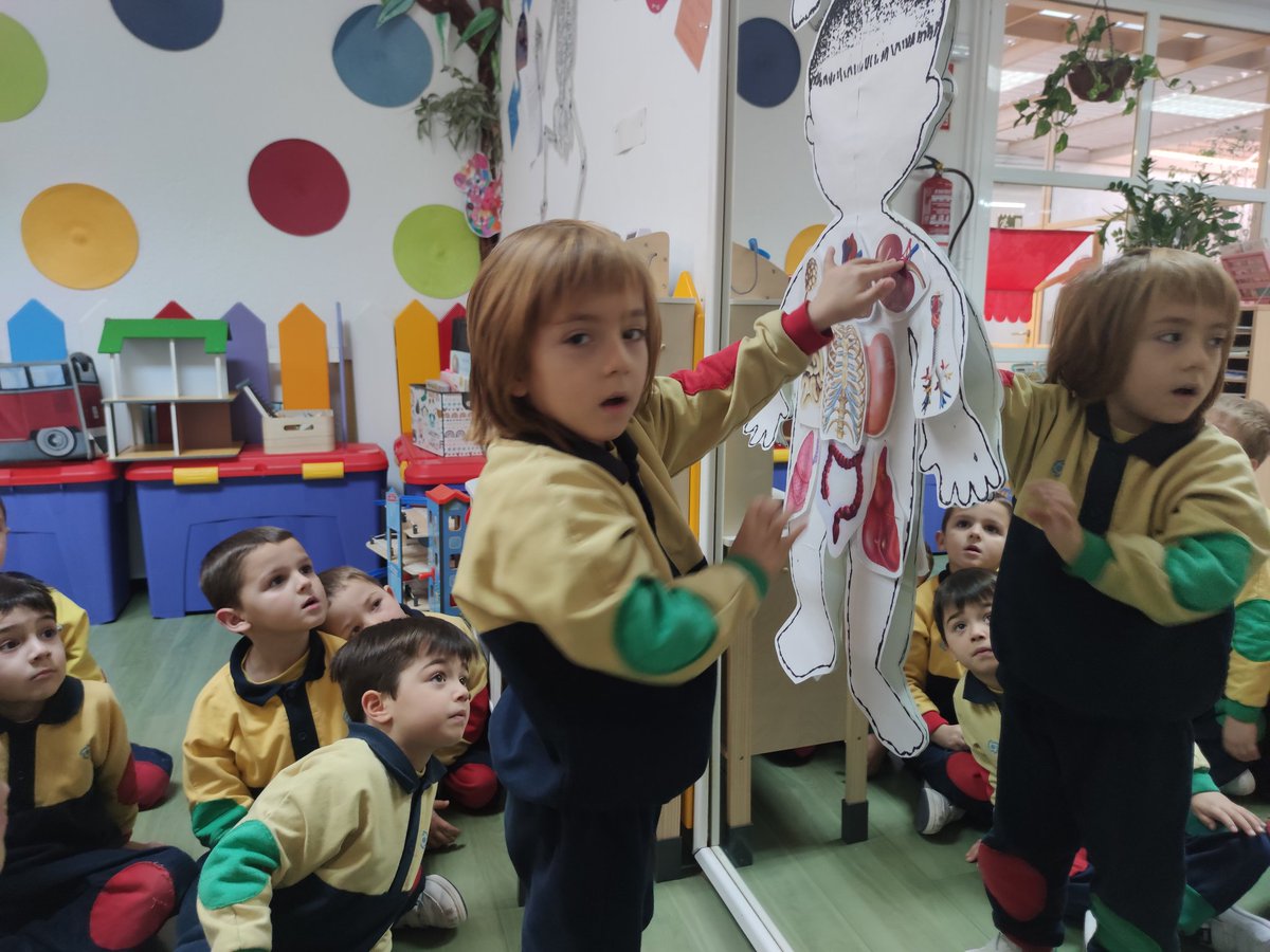InfantNatzEsplu's tweet photo. Intentem ajudar a Pep a col·locar els òrgans en la silueta,però ens adonem que ens falta informació   #bodyteam #aparellrespiratori https://t.co/e7axs0u1hk