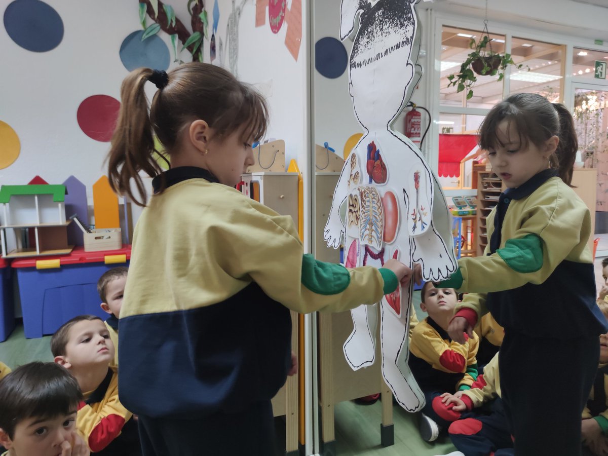InfantNatzEsplu's tweet photo. Intentem ajudar a Pep a col·locar els òrgans en la silueta,però ens adonem que ens falta informació   #bodyteam #aparellrespiratori https://t.co/e7axs0u1hk