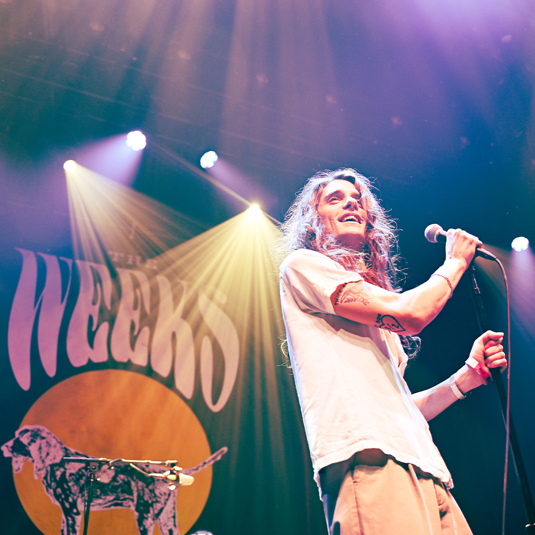 The Weeks tweet media