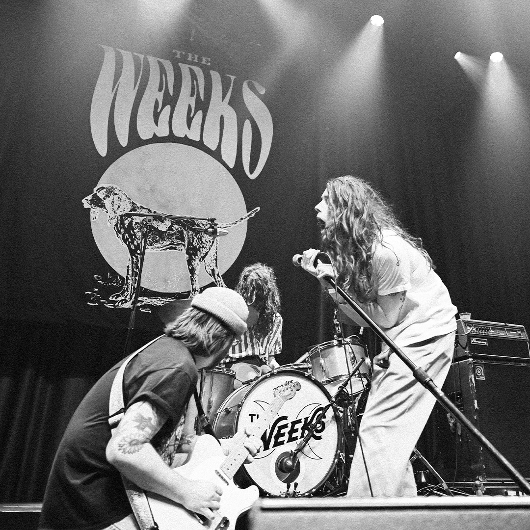 The Weeks tweet media