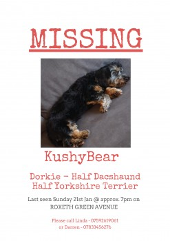 millypod1's tweet photo. 21 JAN 2024 #Lost BEAR #ScanMe
Black & Tan Dachshund X Yorkshire Terrier Male
Roxeth Green Avenue #SouthHarrow #Harrow #HA2 https://t.co/skGiByJm7V https://t.co/Zyy1sEW0ku
