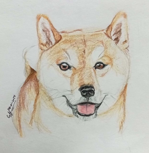 🐶
#dog #perro #shibainu #draw #drawing #dibujando #dibujo #instagramart #color