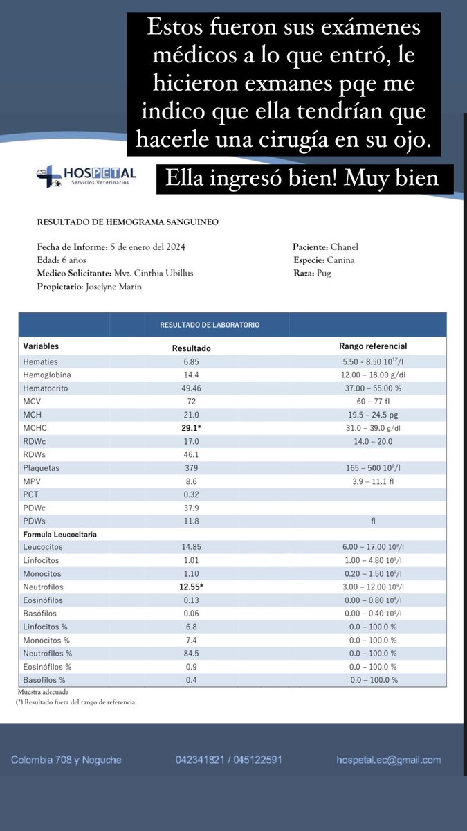 #NEGLIGENCIAMEDICAANIMAL #MALTRATOANIMAL hago una #denunciapública. Lo peor que me tocó pasar en estos días terribles. ASISTÍ el día 5 de enero a un lugar llamado HOSPETAL ubicado en GUAYAQUIL ingresando a mi perrita de raza Pug por una pequeña córnea inflamada en un solo ojo