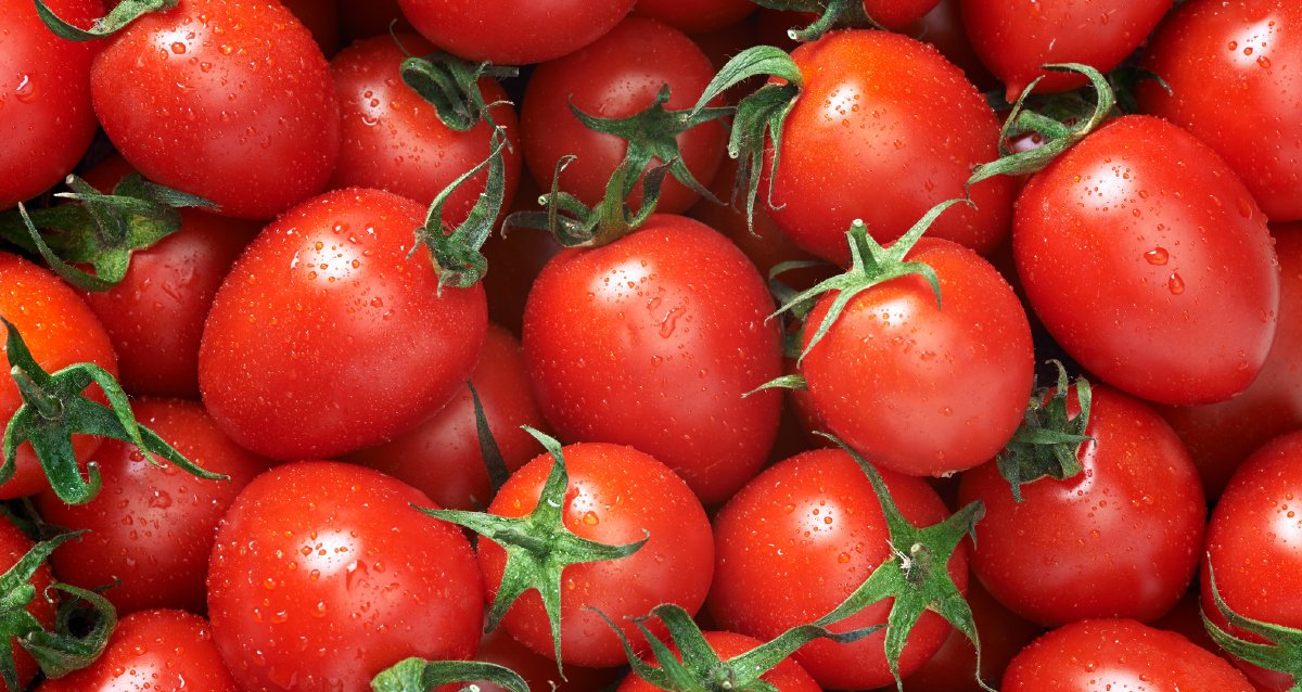 NutritionistKD's tweet photo. #ColorfulVegetables
#NutritionistVoice
What do you love and know about #Tomatoes.
Share your comments... https://t.co/Z6MNBkkNDV