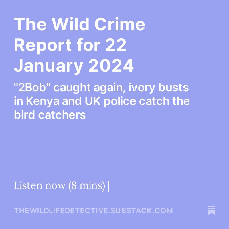Raging_Matt's tweet photo. Check out this week's Wild Crime Report 👇
https://t.co/paTveFVimR https://t.co/jzyeaiFuTz