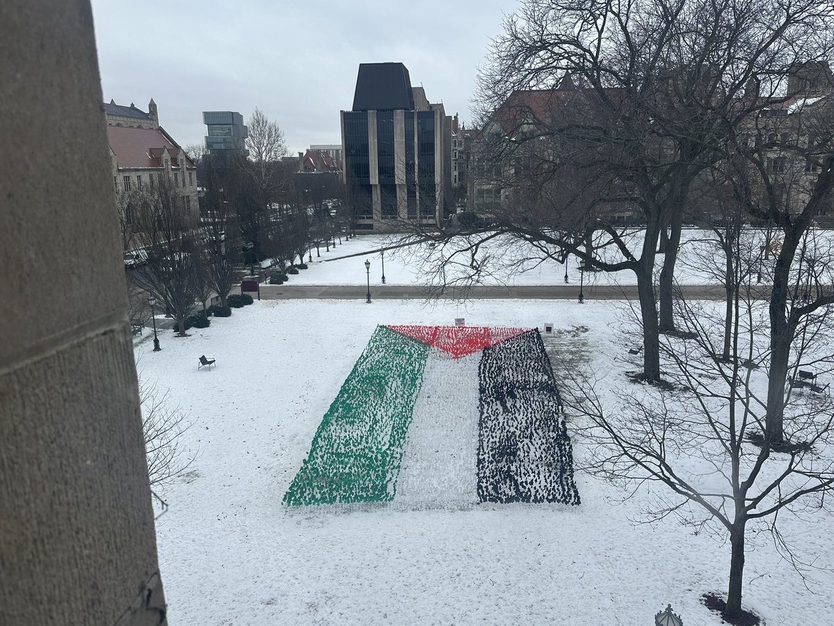 23,000 flags honoring the (at least) 23,000 martyred palestinians in gaza. 23,000 flags drilled into ice and snow on the uchicago quad