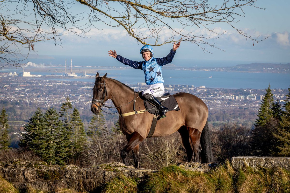PeterRoe1's tweet photo. Great to support the work of @TreoEileRIR with the naming of a race on Wednesday. They do great work in the Retraining of Racehorses. Here is Sizing John overlooking Dublin with Paul Townend. @Jessica_Racing @RacingTV https://t.co/6ZnUpM5guR