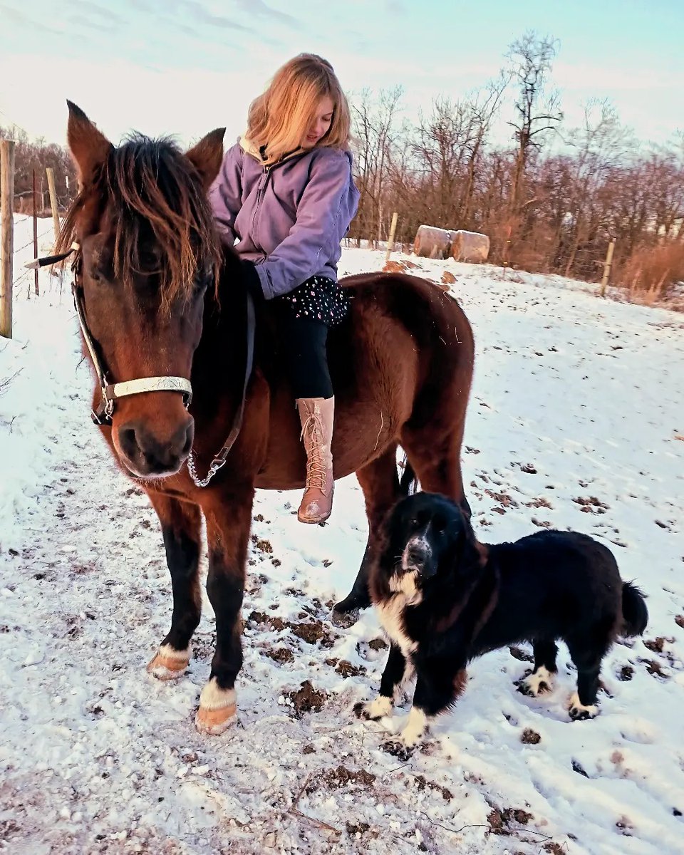 RedCaboosePhoto's tweet photo. ~Stallions &amp; Snow Days~
Of course my kiddo is going to put on a sparkly dress to go ride her Arabian stallion, Stormers Padron, in 20 degree weather while her dog whines that she's up there.
Hopefully we'll get one more snow before the season is over. https://t.co/5eaVKX4Ybo