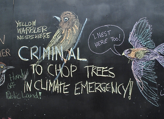 classic_yoga's tweet photo. I was at the Ontario Place "Writing On The Wall" demonstration on Lakeshore Blvd (Martin Goodman Trail) and here are my photos @CancelTheDeal #onpoli #DoNoHarm #SaveTheTrees #NoDeforestation https://t.co/jQDamlBuMb