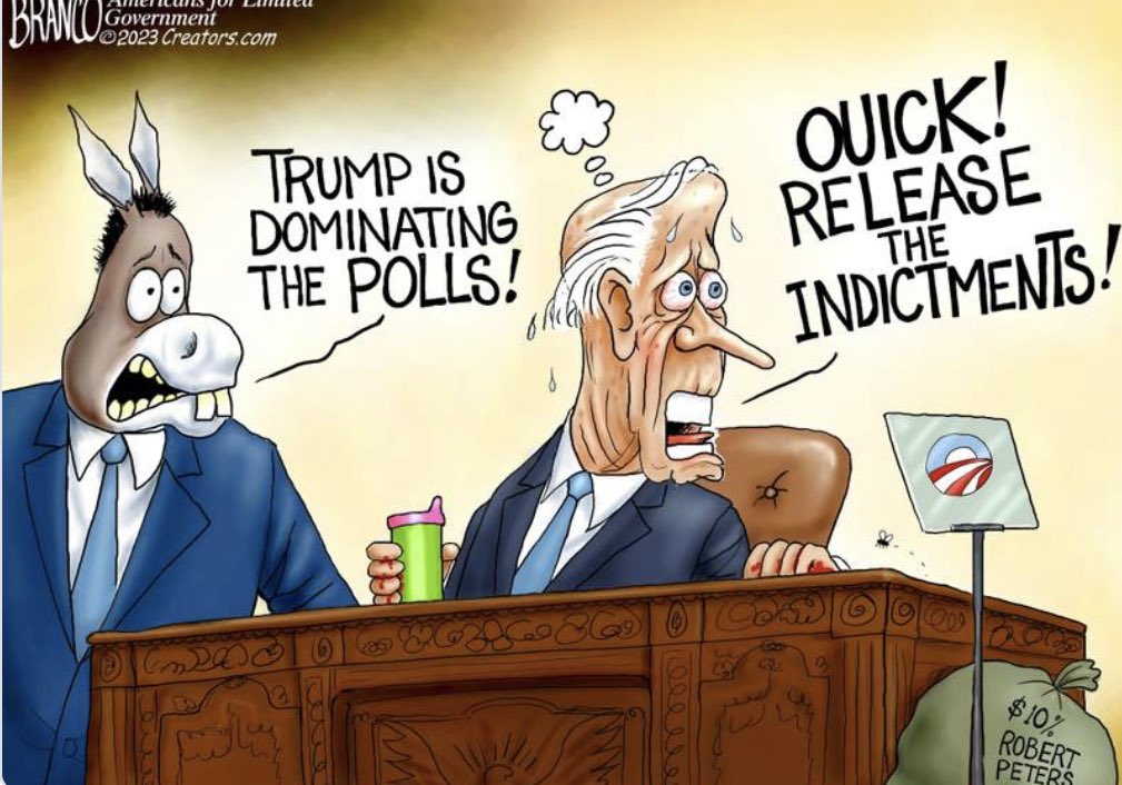 Individual Liberty 2.0 🍁#MAGA tweet media
