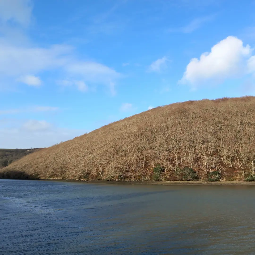 lazyperfection's tweet photo. West Looe River #walking #exercise #riverwalk #looe #holidaywalk #cornwall #river #water #nature #westlooe #visitcornwall @VisitLooe https://t.co/SLisswUOIc