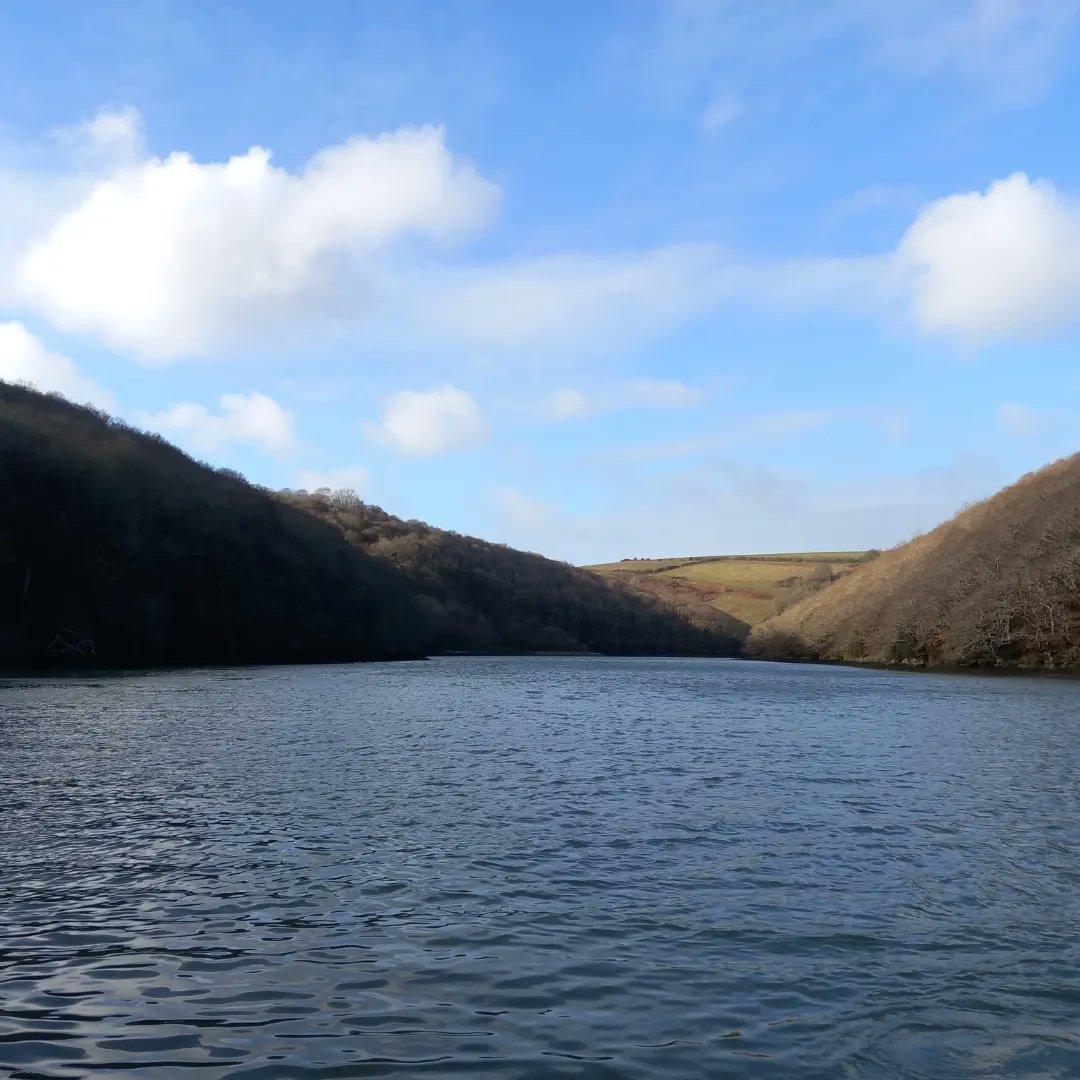 lazyperfection's tweet photo. West Looe River #walking #exercise #riverwalk #looe #holidaywalk #cornwall #river #water #nature #westlooe #visitcornwall @VisitLooe https://t.co/SLisswUOIc