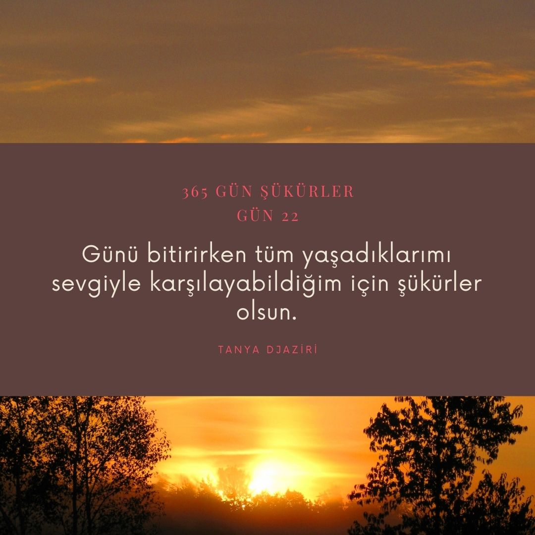 Piramit Koza Akademi (@tanyajaziri) on Twitter photo 