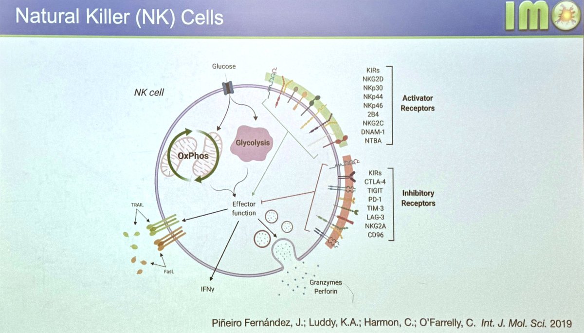 Sandy Anderson (@ara_anderson) on Twitter photo Today’s <a href="/EvolTherapy/">Centre for Evolutionary Therapy</a> seminar is from a collaboration between <a href="/mathoncbro/">Jeffrey West</a> & <a href="/luddyka/">Kimberly Luddy</a> along with <a href="/GatenbyLab/">The Gatenby Lab</a> & <a href="/ClionaOfarrelly/">Cliona O'Farrelly</a> discussing, Evolutionary double-bind treatment using radiotherapy and NK cell-based immunotherapy in
prostate cancer <a href="/mathonco/">IMO</a> <a href="/MoffittNews/">Moffitt Cancer Center</a> Today’s <a href="/EvolTherapy/">Centre for Evolutionary Therapy</a> seminar is from a collaboration between <a href="/mathoncbro/">Jeffrey West</a> & <a href="/luddyka/">Kimberly Luddy</a> along with <a href="/GatenbyLab/">The Gatenby Lab</a> & <a href="/ClionaOfarrelly/">Cliona O'Farrelly</a> discussing, Evolutionary double-bind treatment using radiotherapy and NK cell-based immunotherapy in
prostate cancer <a href="/mathonco/">IMO</a> <a href="/MoffittNews/">Moffitt Cancer Center</a>