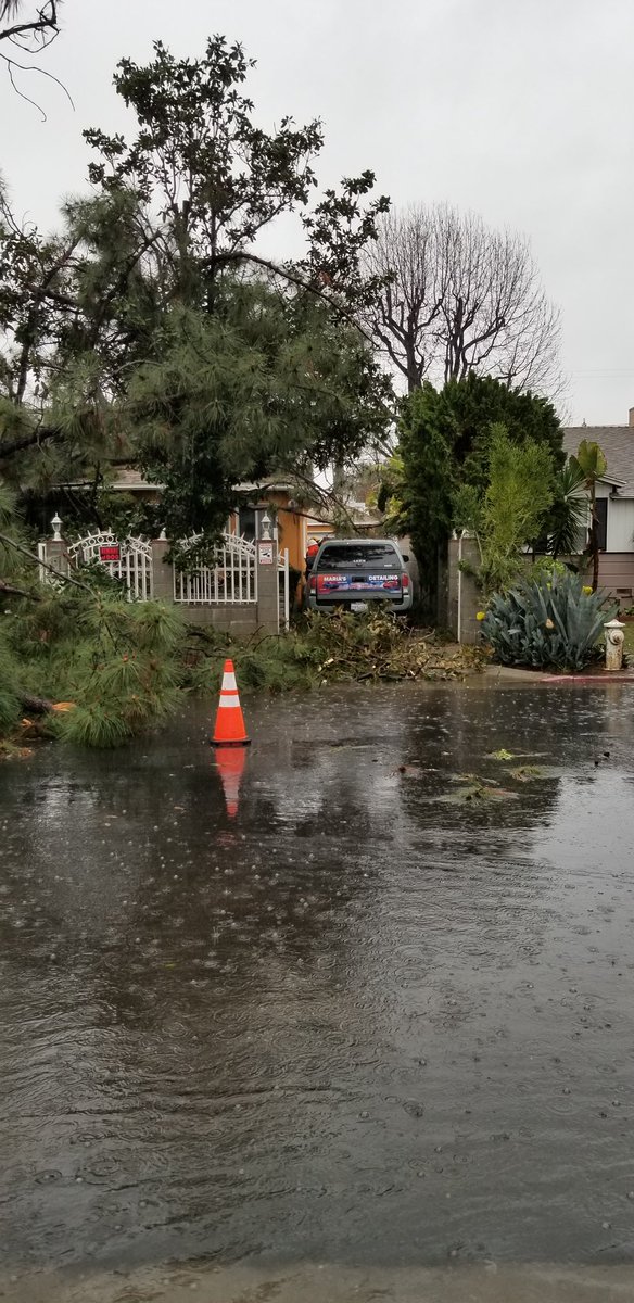 BSSLosAngeles's tweet photo. 📣 STORM RESPONSE

Our crews are responding to service requests related to today's storm.

Please call 311 or use the @MyLA311 app to report issues including tree emergencies like fallen tree limbs/branches &amp; mudslides.

Stay dry, LA! 🌧️

#AtYourService

@mayorofla @LACityDPW https://t.co/YQxIfHTHm0