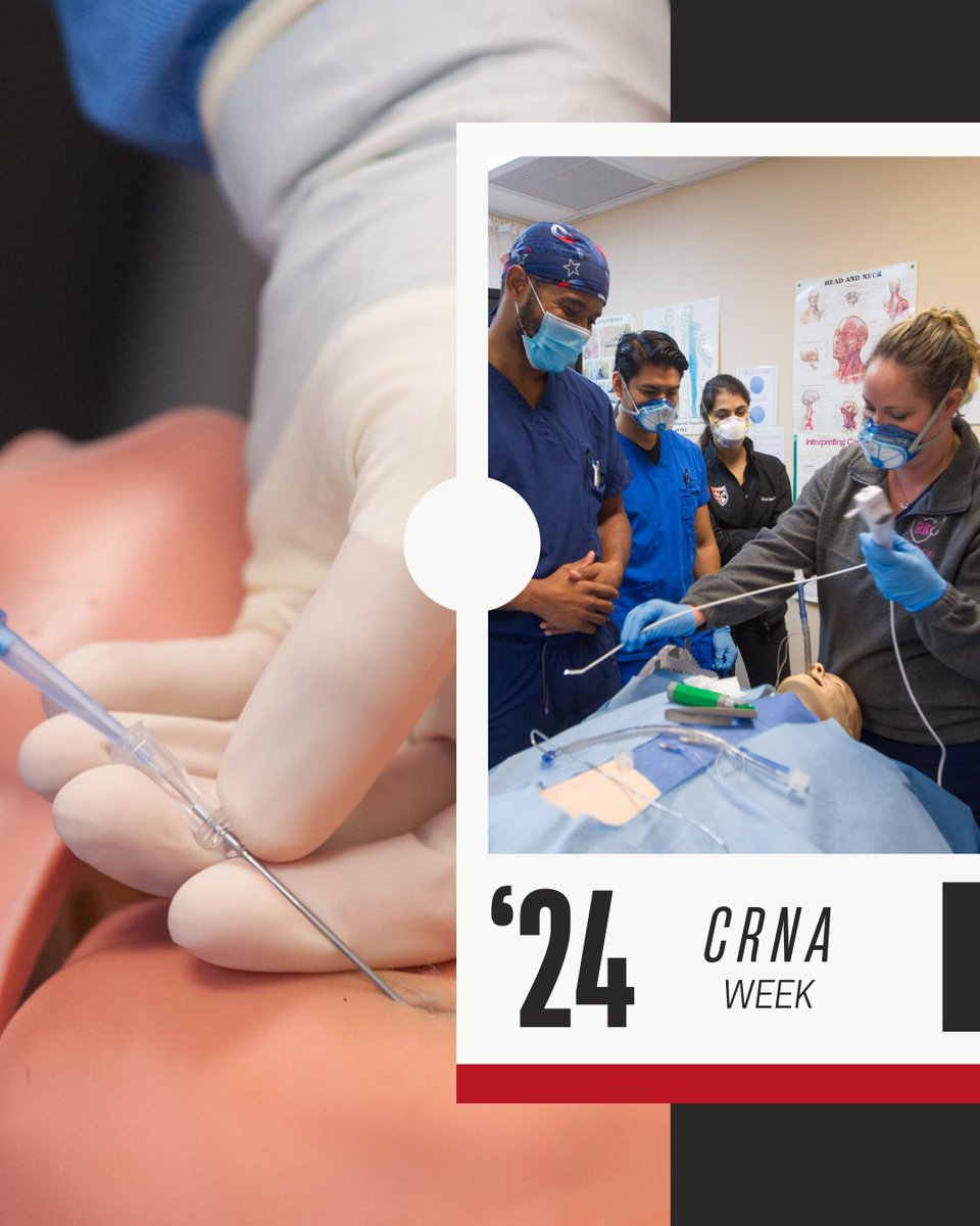 barryuhealth's tweet photo. Happy CRNA Week! Honoring the dedicated CRNAs who consistently provide excellent anesthesia care, and a special shout out to our hardworking CRNA Students. 🌟 Your commitment does not go unnoticed! https://t.co/iMDD9RLNGt