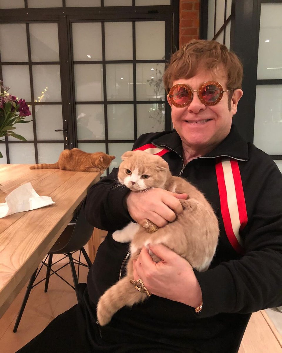 new/old elton john with a cat photographed by ed sheeran