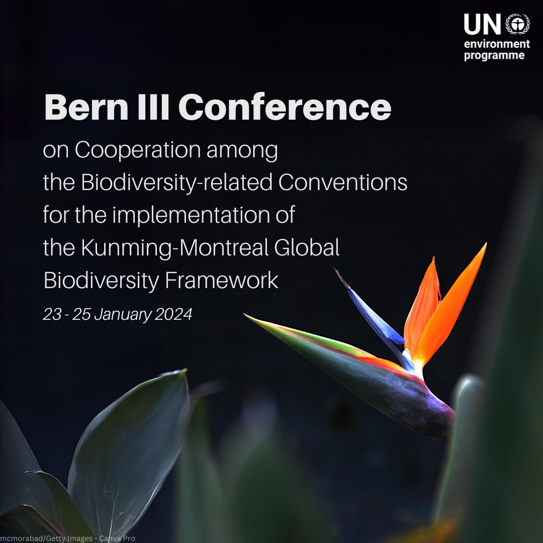 This week: The Bern III Conference convenes in Switzerland to advance the implementation of the Kunming-Montreal Global Biodiversity Framework, the world’s #BiodiversityPlan.

More details: unep.org/events/confere…