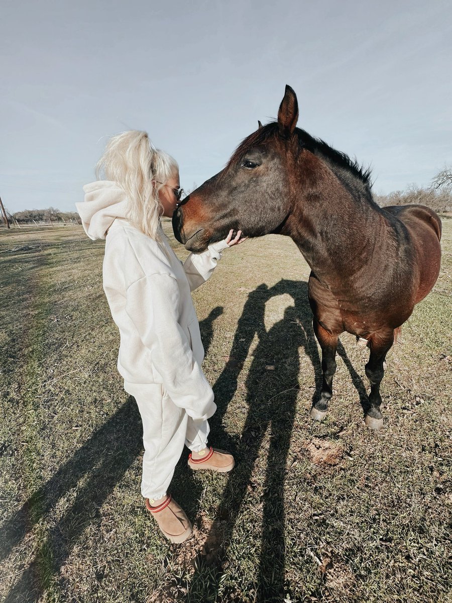 saspringer24's tweet photo. Hoodies and horses 😚🐴🫶🏼 https://t.co/nigUij1OHJ