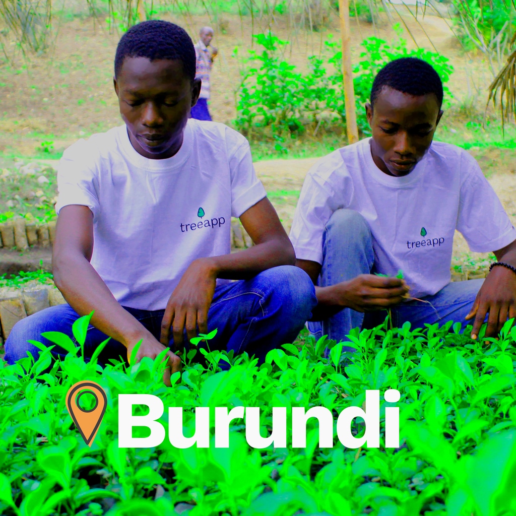 We're fangirling over here seeing our local Burundi partners in the Treeapp shirts! 🤩 👕 . . . . . #Treeapp #SavethePlanet #TreePlanting #Nature #Sustainability #ClimateAction #Trees⁠⁠ #education #ConservationHeroes #ProtectWildlife ⁠