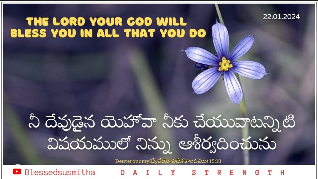 The Lord your God will bless you in all that you do.
#Blessedsusmitha #GPMCHURCH #Motivation #dailystrength #Verseoftheday #Asia #Africa #Northamerica #Southamerica #Europe #Australia #Antarctica