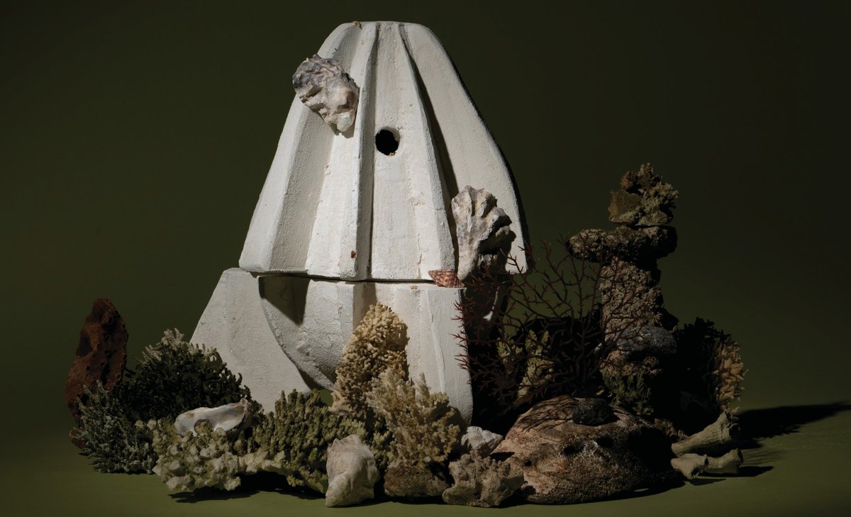 materialdistrct's tweet photo. A reef made of biocement https://t.co/NQVtVCZamG

#materialinspiration #reefs #biocement #marylempres #materialdistrict #reefrocket #productdesign #ecology #naturerestoration #reefrestoration https://t.co/PgEqu05jET