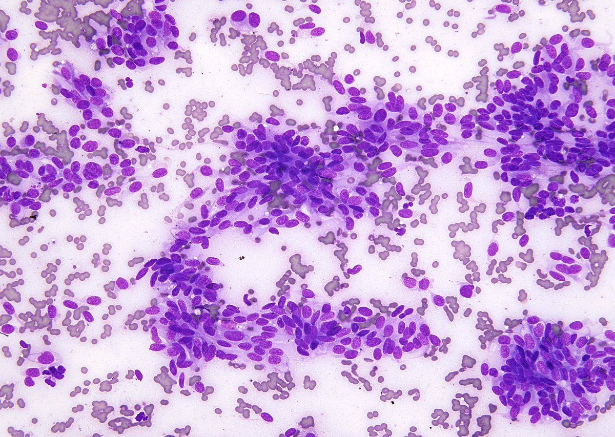 Syed Z. Ali tweet media