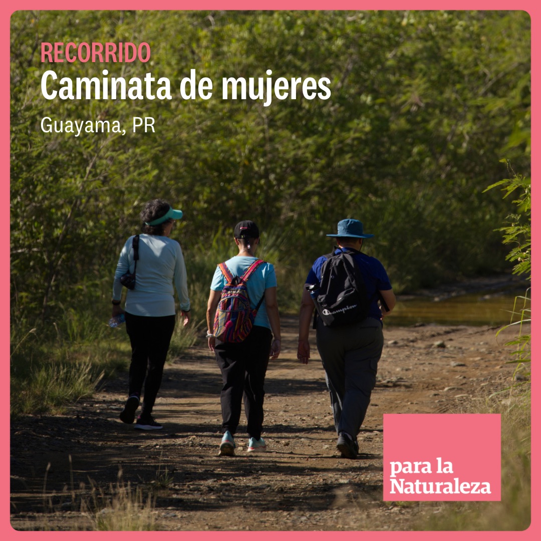 ¡Primera caminata de mujeres del año! Caminemos juntas inmersas en la naturaleza mientras fomentamos el ecofeminismo y la solidaridad entre mujeres en Punta Pozuelo, Guayama. Viernes, 26 de enero de 3:30 a 6:30 p.m.Reserva tu espacio gratis aquí: ow.ly/T16Z50Qtbl9