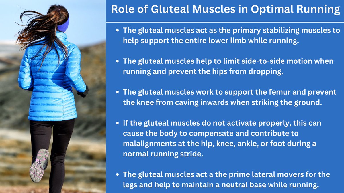 The #glutealmuscles are comprised of a group of 3 muscles: #gluteusmaximus, #gluteusmedius & #gluteusminimus. 

It's important for #runners to properly strengthen #gluteal muscles for an aligned #running stride & prevent #runninginjuries. 

#glutestrengthening #runningtechnique
