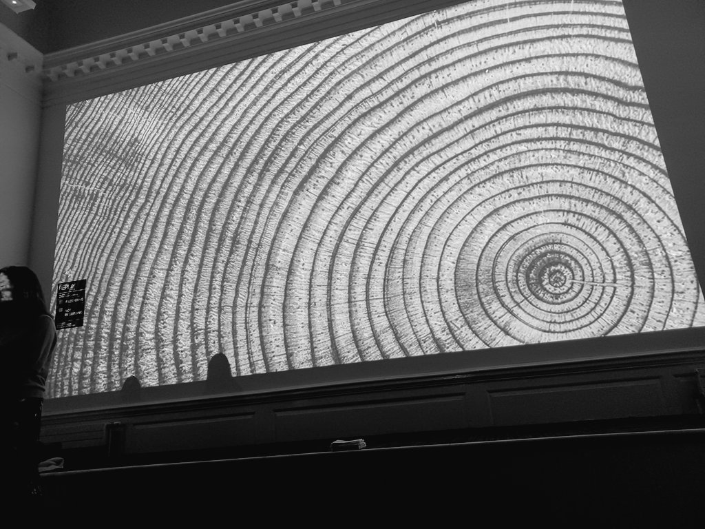 Lines of people, the lines in the trees. Thinking of heritage,  long-termism and care for future generations.  Brilliant talk <a href="/eca_edinburgh/">Edinburgh College of Art</a> by Katie Paterson and Anne Beate Hovind. <a href="/FuturelibraryNO/">Future Library</a> 
🌳 🌲 🌲 
Paterson's work also in #therecent <a href="/talbotrice75/">Talbot Rice Gallery</a>
