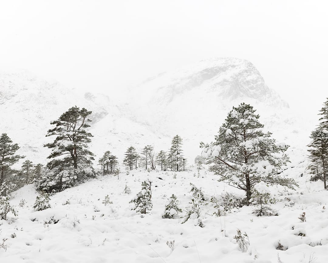 Hannah Bose tweet media