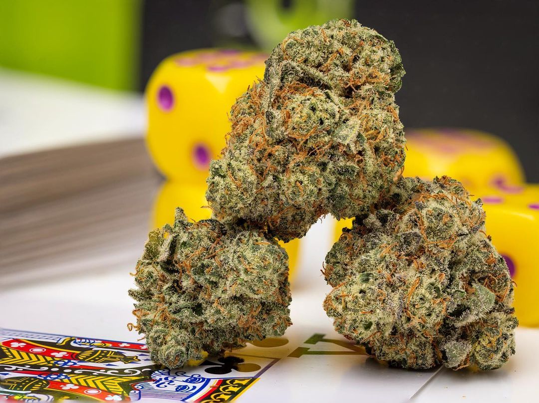 CannaGenesis420's tweet photo. The best of buds support one another ๐ฅ #CannabisCommunity #CannaExotics #HightimesMagazine https://t.co/SlkxToIuBj