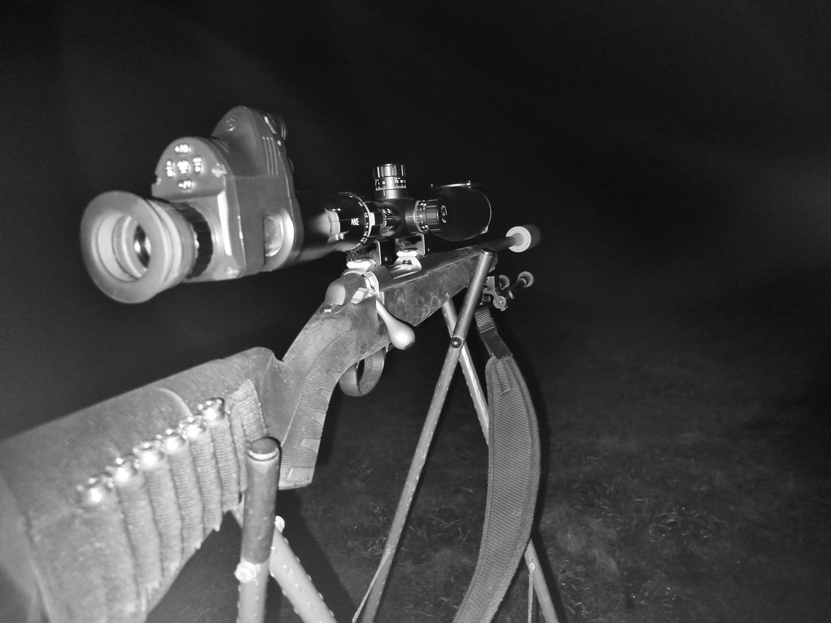 ACountryChap's tweet image. The 2024 series of Hide &amp;amp; Seek with Charlie has now started...

#vermincontrol #verminmanagement #wildlifemanagement #Sako #Centrefire #22250remington