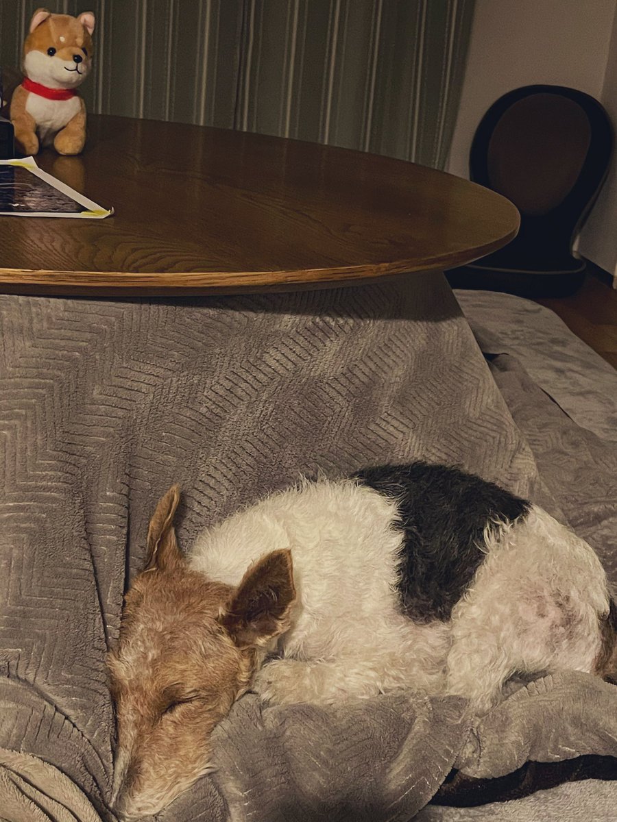 50(FIFTY) 振付師　ダンサー tweet media