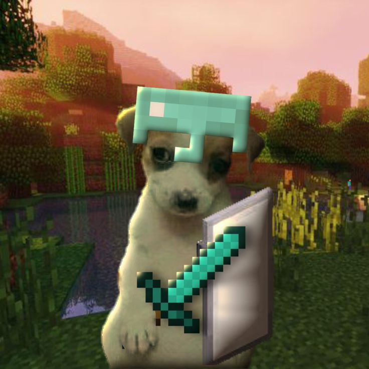 Oi gente! Última chamada pro server do mine. Ainda temos algumas vagas!!!
Lembrando que é feito no REALMS e fica aberto 24/7, e tem mmodpacks e texturas para TODES.
t.me/+6boNLYRFQC0zM…